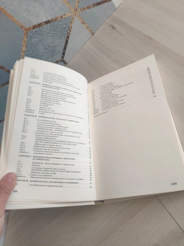 Livre grand format introduction économie entreprise Leroux - photo numéro 10