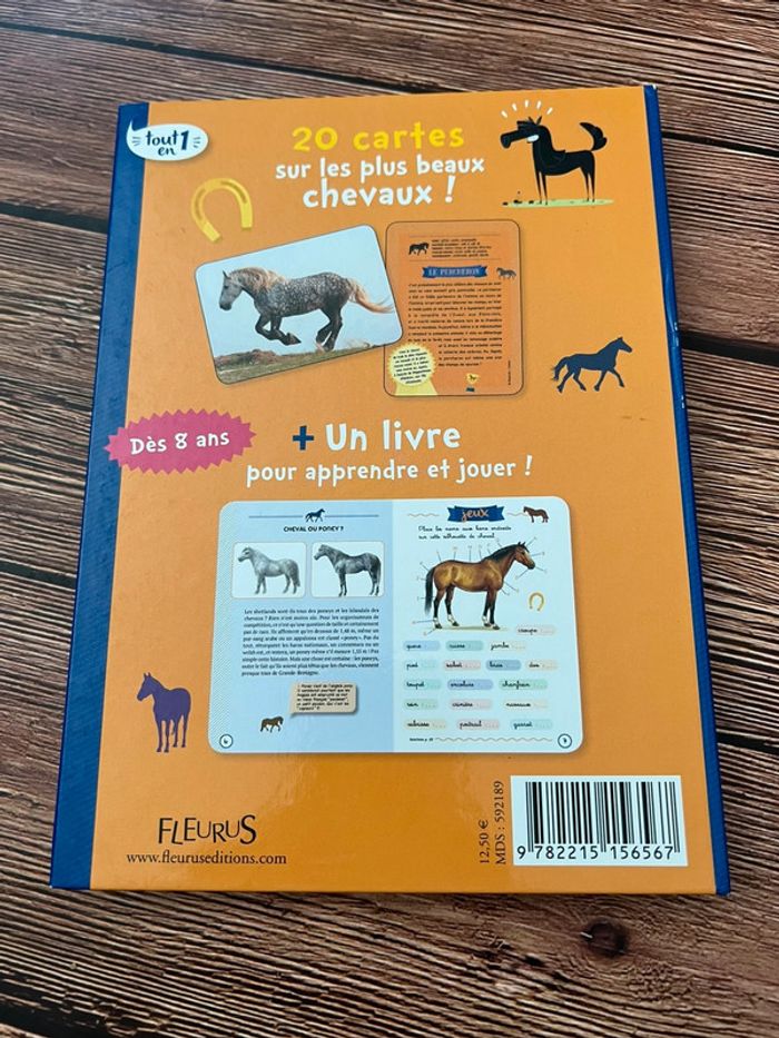 Chevaux fleurus - photo numéro 2