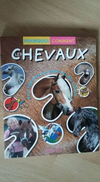 Pourquoi comment les chevaux