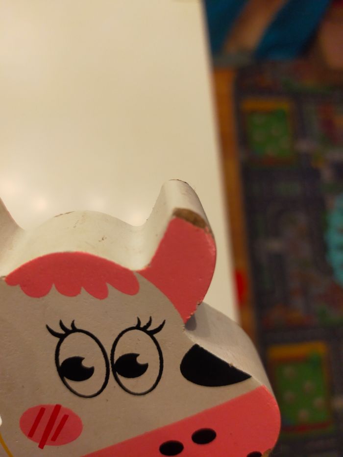 Vache a tiré - photo numéro 5