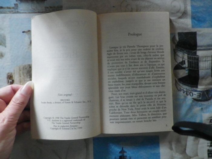 Brenda T3 Les Orphelines de Virginia C. Andrews - photo numéro 4