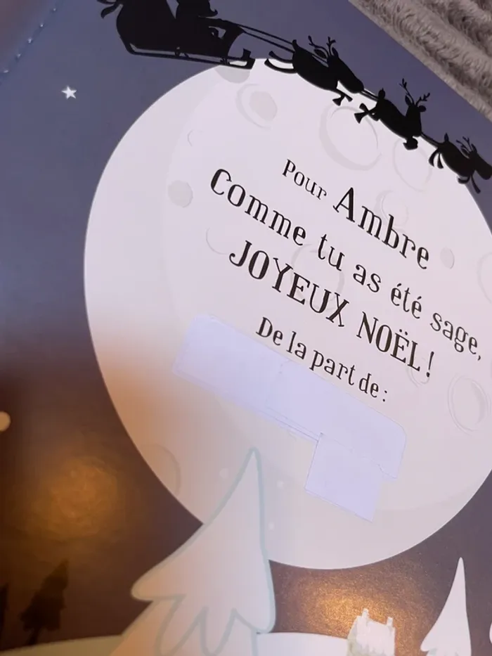 Livre - Ambre - photo numéro 2