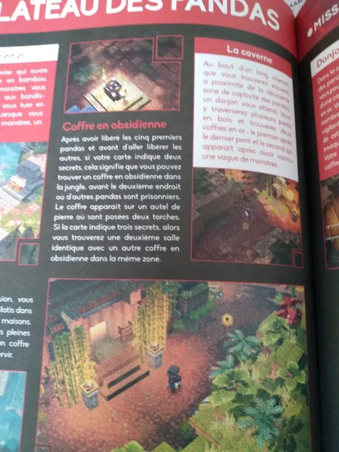 Livre Minecraft dungeons - photo numéro 3