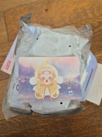 Lot Pop mart labubu et skullpanda