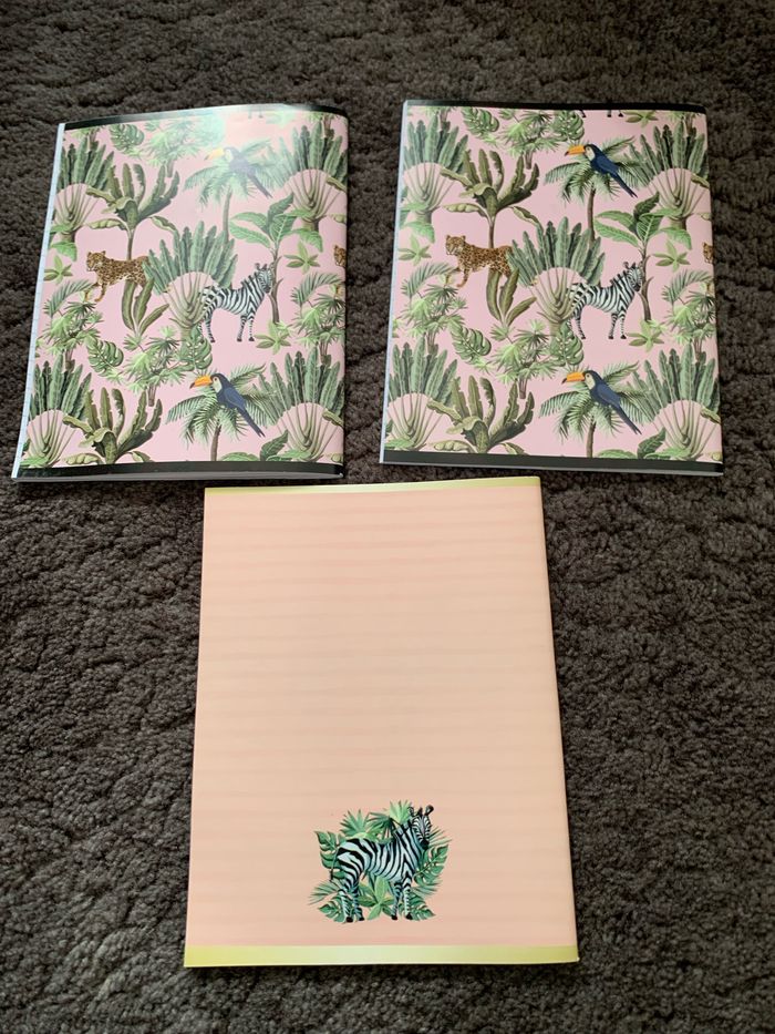 Lot de 3 cahiers - photo numéro 2