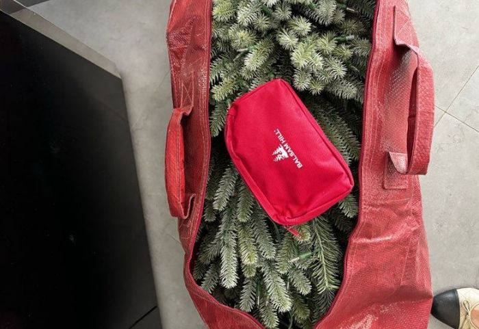 Sapin noël - photo numéro 4