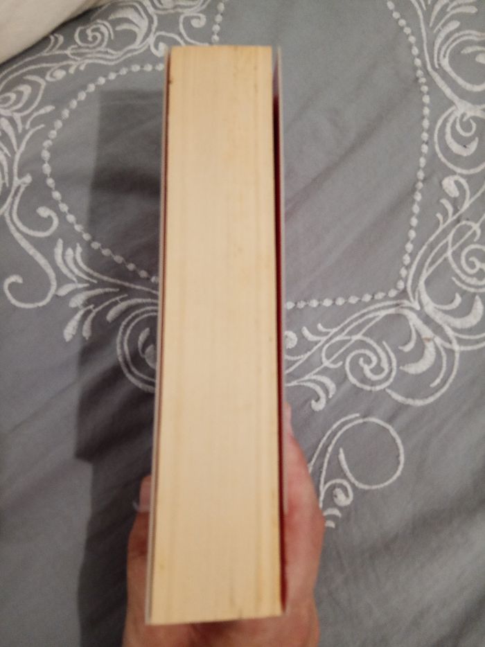 Livre (10) 📚 La bonne étoile d'Elsie - photo numéro 3