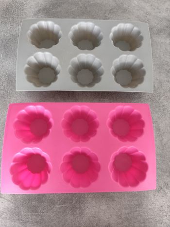 Lot de 2 moules silicones