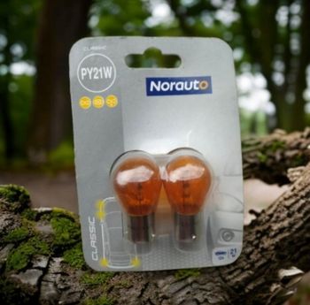 Lot 2 ampoules automobile PY21W 12V