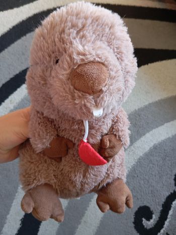 Peluche castor