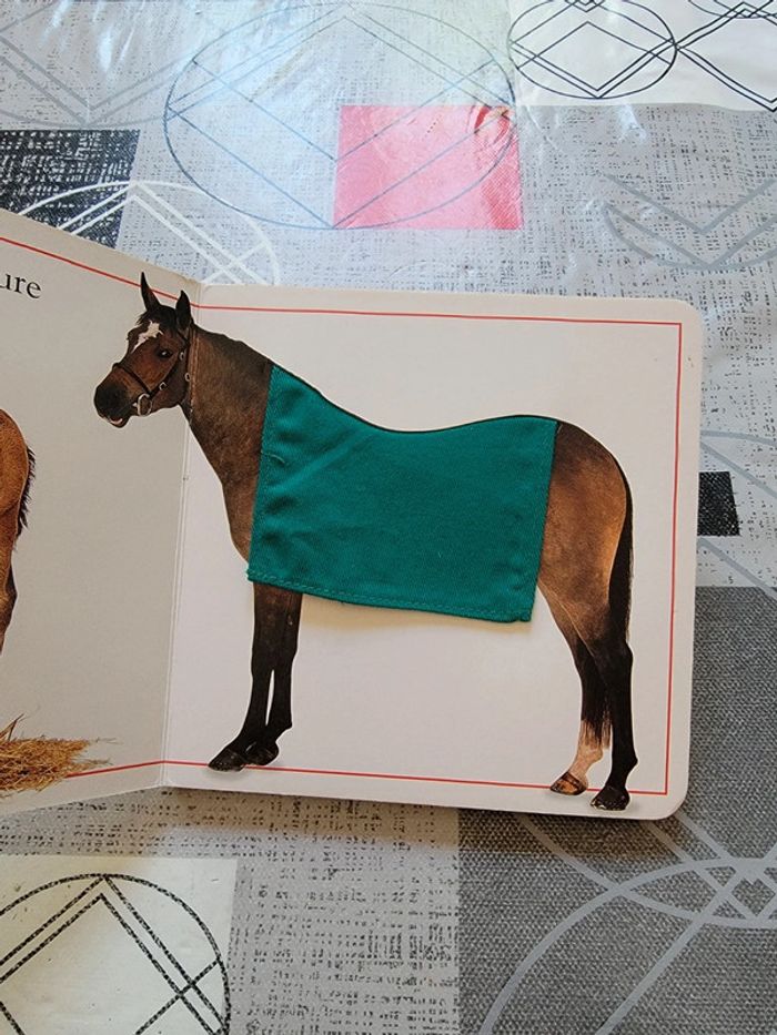 Touc à tout poneys - photo numéro 7