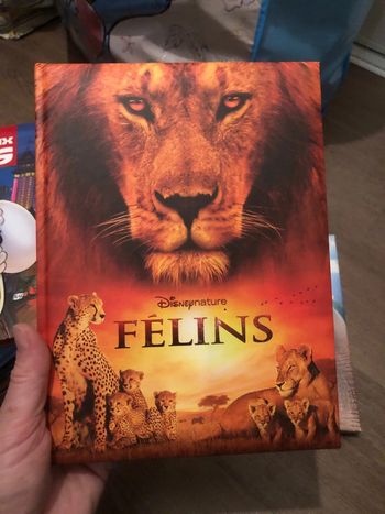 Livre Disney félins