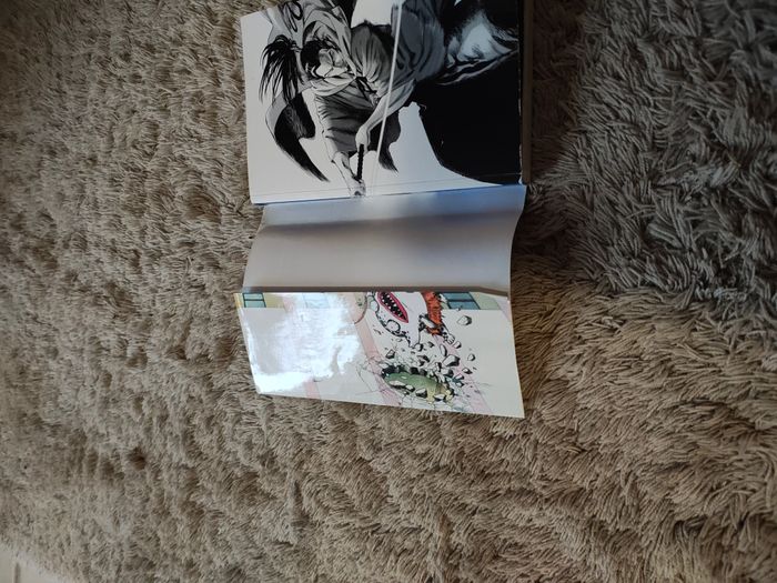 Manga One-punch Man Tome 13 - photo numéro 3