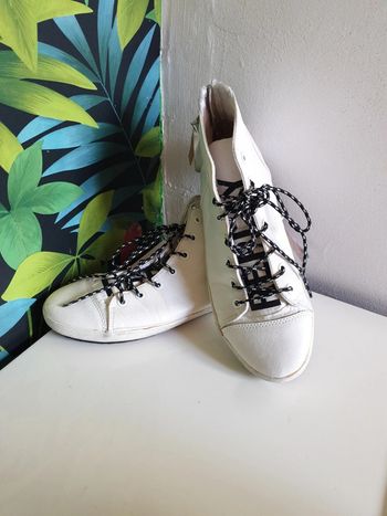 Sneackers montantes replay