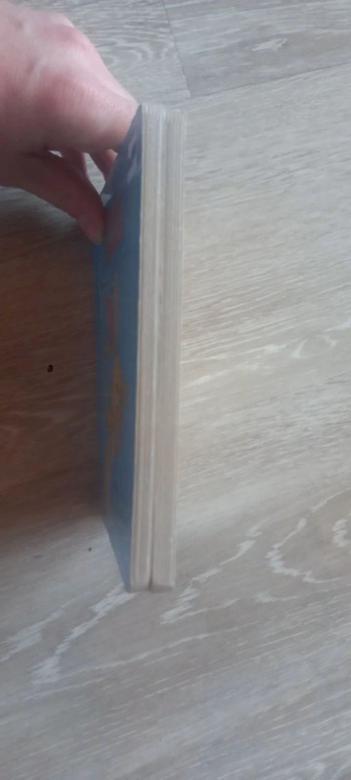 Petits livres Disney enfant - photo numéro 8