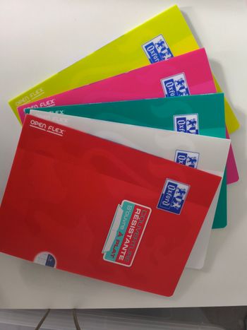 Lot 5 cahiers neufs 21 x 29,7cm 96 pages grands carreaux