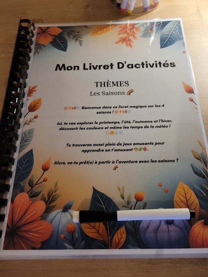 Livres d'activités les saisons stylo ✨️