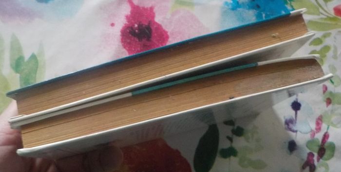 2 bibliothèque rose La Belle au bois dormant et L'Apprentie sorcière - photo numéro 4