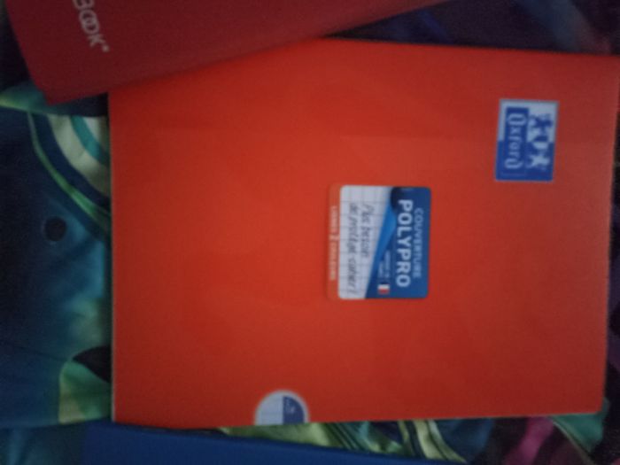 Lots 3 cahier oxford 96 pages 24 x 32 - photo numéro 3