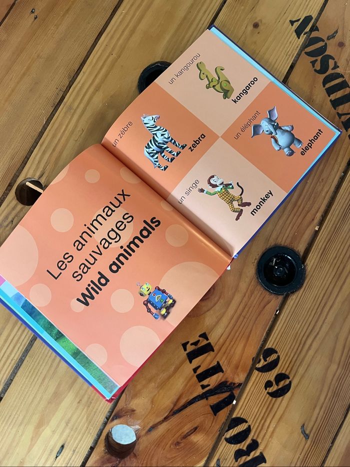 Livre oui oui - photo numéro 3