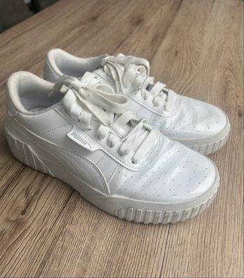 Basket puma