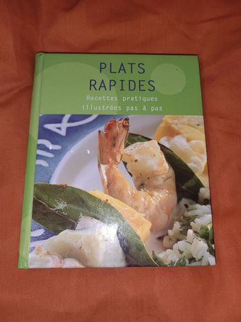 Livre recettes plats rapides recettes pratiques illustrées