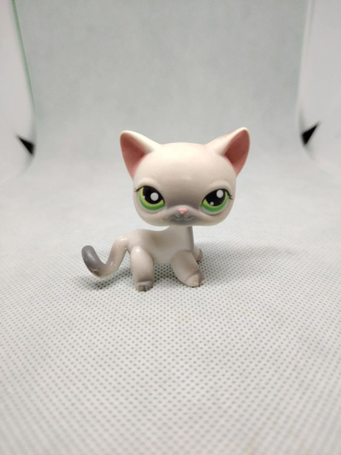 Petshop Littlest petshop chat européen #125