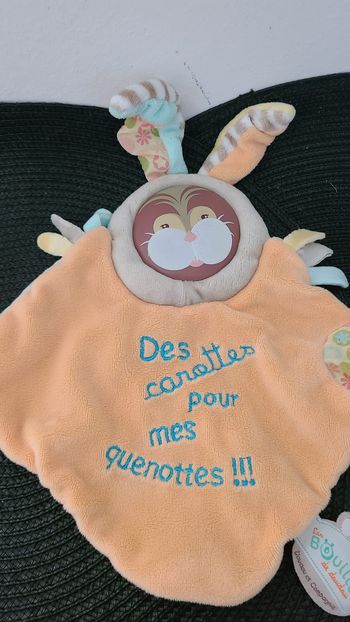 DOUDOU ET COMPAGNIE - Les bouilles de doudou - Des carottes pour mes quenottes