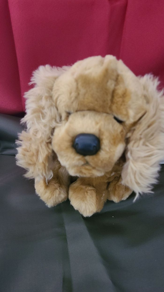 peluche cocker CMP - photo numéro 5