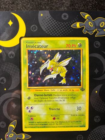 Insecateur holo 1995