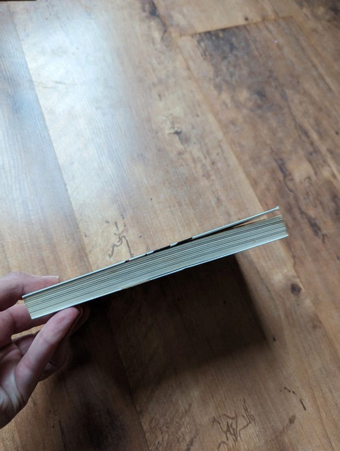 Livre dragonball pastel n°3 - photo numéro 4