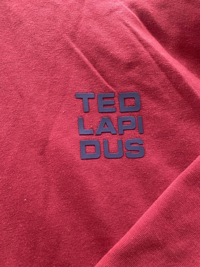 Sweat à capuche Ted lapidus mixte jamais porté taille L rouge/bordeaux - photo numéro 2
