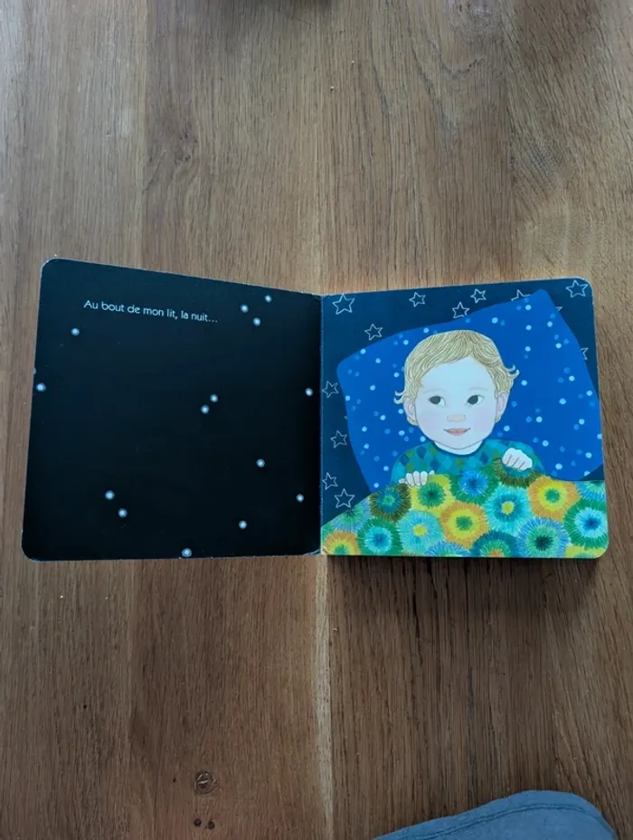 Livre cartonné Les petits amis de la nuit - photo numéro 2