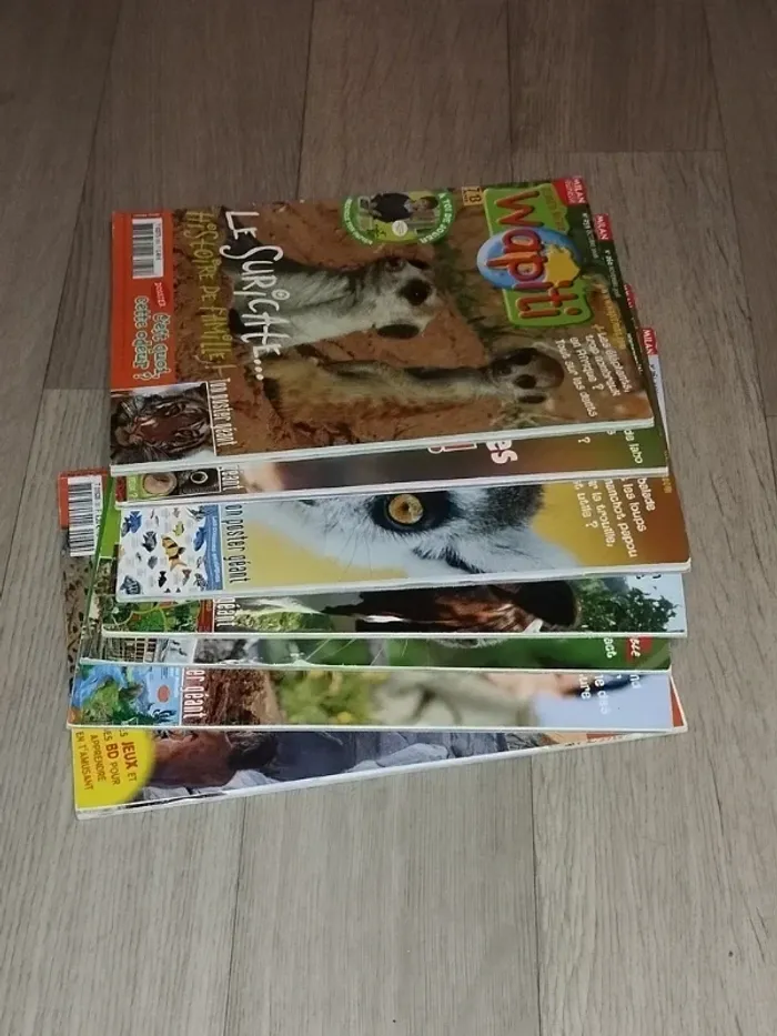 Lot de 7 magazines Wapiti année 2008-09 L025 - photo numéro 4