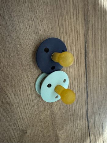 Lot de 2 tétines Bibs