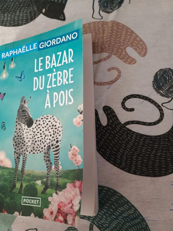Le bazar du zèbre a pois - Raphaëlle Giordano - photo numéro 3