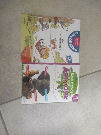 Lot pour Lecteurs cp