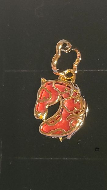 Charm cheval de feu