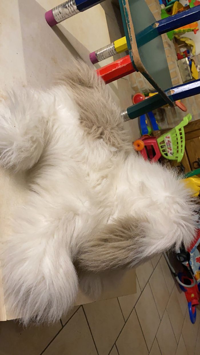 Peluche chien - photo numéro 3