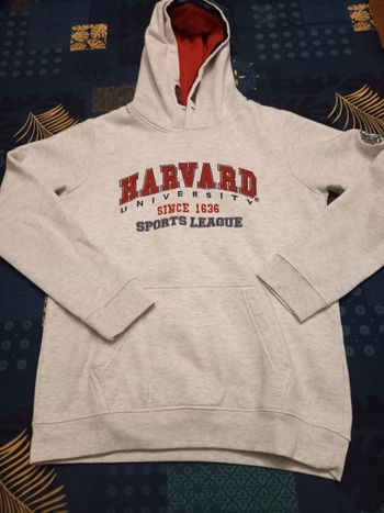 Sweat Harvard 14 ans