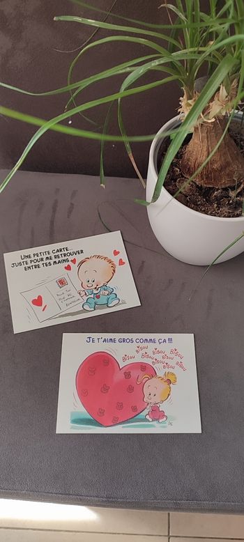 Lot de 2 cartes postales