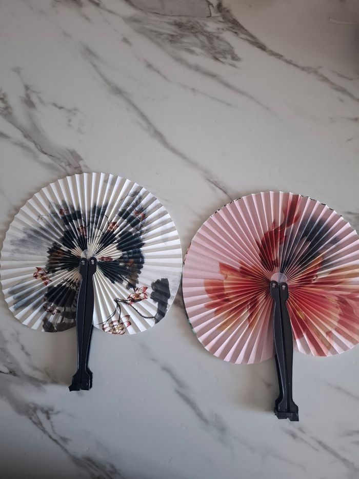 Lot de 2 éventail pliable