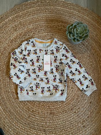 Sweat Mickey Disney orchestra 23 mois