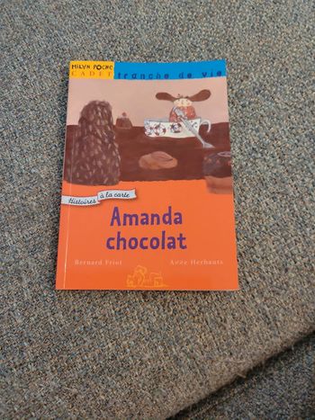 Livre amanda chocolat