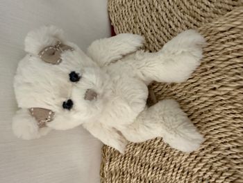 Bukowski Peluche ourson Caroline h21cm blanc avec noeuds beige