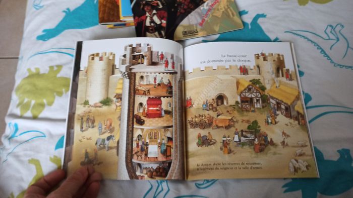 Lot 6 livres magiques - photo numéro 10
