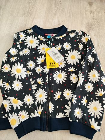 Veste