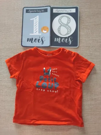 Tee shirt 18 mois / 81 cm