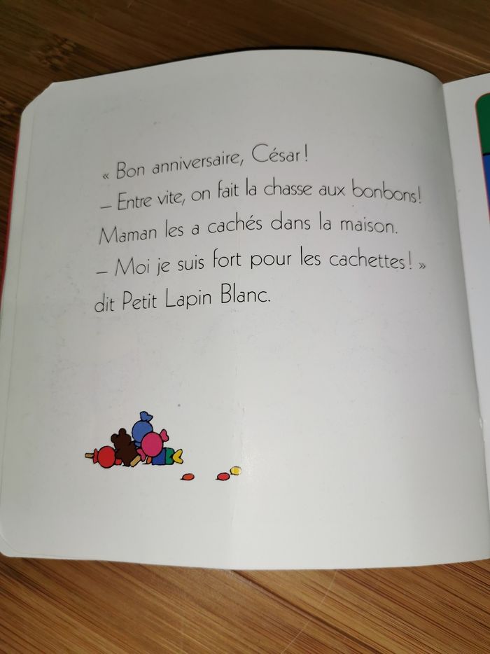 Petit Lapin Blanc est un coquin - photo numéro 6