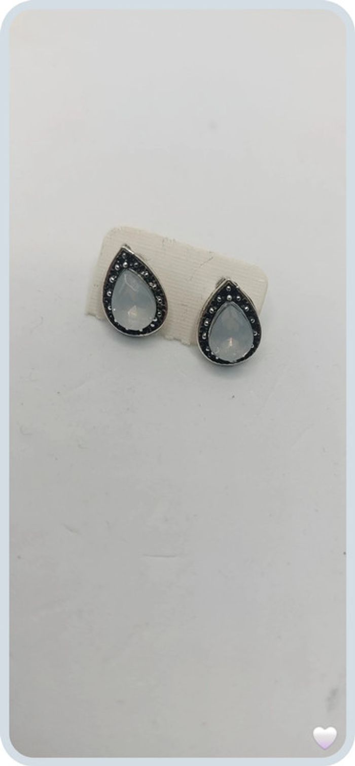 belle paire de boucles d oreilles en acier argenté